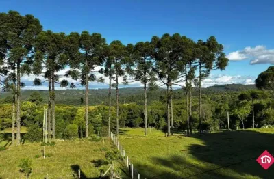 Chácara / sítio à venda na rua ismael josé rangel de castilhos, 00, ana rech, caxias do sul por r$ 1.800.000