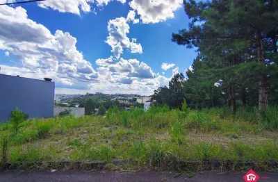 Terreno à venda na Alcides José Piardi, 787, São Luiz, Caxias do Sul