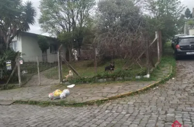 Terreno para venda - 452m², 0 dormitórios, são leopoldo