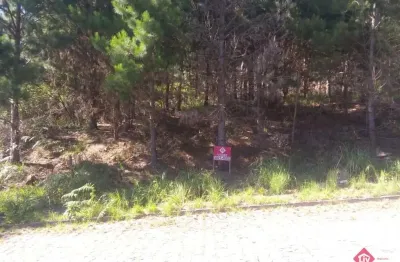 Terreno para venda - 375m², 0 dormitórios, parada cristal