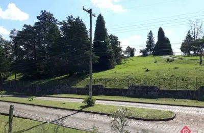 Terreno para venda - 10000m², 0 dormitórios, fazenda souza