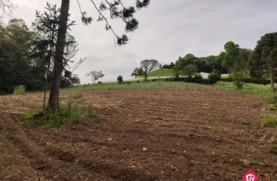 Chácara / sítio à venda na Estrada Municipal Vereador Vicente Menezes, 1570, Linha 40, Caxias do Sul