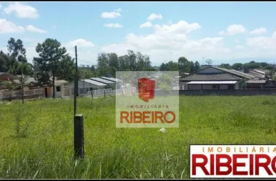 Terreno à venda, 1638 m² por r$ 500.000,00 - mato alto - araranguá/sc