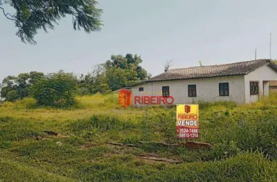 Terreno à venda, 1800 m² por r$ 260.000,00 - hercílio luz - araranguá/sc