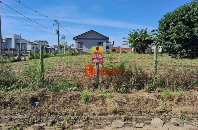 2(dois) terrenos à venda,  de 300 m² por r$ 200.000 - hercílio luz (hercílio - araranguá/sc