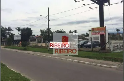 Terreno residencial à venda, pinheirinho, criciúma.