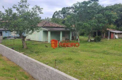 Terreno à venda, 5000 m² por r$ 425.000,00 - morro dos conventos - araranguá/sc