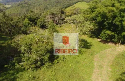 Terreno à venda, 150 m² por r$ 1.500.000,00 - centro - timbé do sul/sc