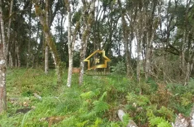 Terreno à venda na Rodovia do Caqui, Centro, Campina Grande do Sul