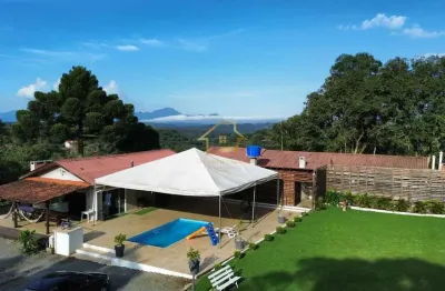 Chácara / sítio com 5 quartos à venda na Av Nossa Senhora Da Luz, Palmitalzinho, Quatro Barras