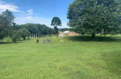 Chácara / sítio com 2 quartos à venda na Estrada Do Pocinho, Pocinho, Quatro Barras