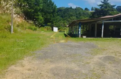 Chácara / sítio com 2 quartos à venda no Palmitalzinho, Quatro Barras 