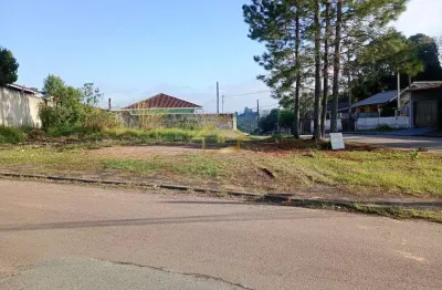 Terreno à venda na Rua Manoel Alves Dos Santos, 559, Jardim Pinheiros, Quatro Barras