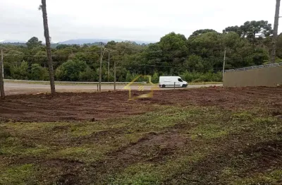 Terreno comercial para alugar na Rodovia do Caqui, 6609, Jardim Colina, Campina Grande do Sul