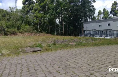 Terreno para venda,  são luiz, caxias do sul - te101107