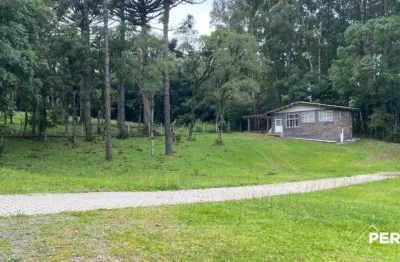 Chácara para venda,  pedancino, caxias do sul - ch101276