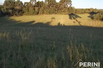 Chácara  para  venda vila oliva caxias do sul - cooo100037