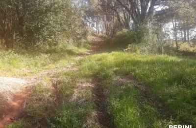 Chácara / sítio à venda na Nossa Senhora das Graças, Caxias do Sul 