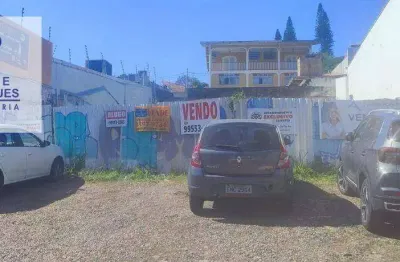 Terreno à venda, 503 m² por r$ 5.000.000 - cambuí -camb- campinas/sp