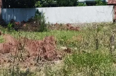 Terreno à venda no bairro capão novo com 300 m² de área privativa