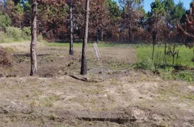 Terreno à venda na Avenida Paraguassu, 4115, Capão Novo, Capão da Canoa