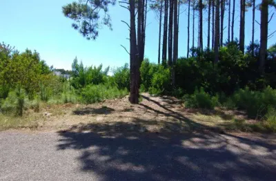 Terreno à venda na Avenida Paraguassu, 4115, Capão Novo, Capão da Canoa
