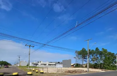 Terreno comercial à venda na Avenida Paraguassu, 4115, Capão Novo, Capão da Canoa