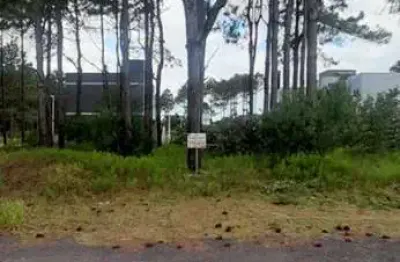 Terreno à venda na Rua Andira, 4115, Capão Novo, Capão da Canoa