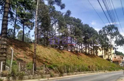 Área à venda, 8163 m² por r$ 6.800.000,00 - jardim são paulo - itaquaquecetuba/sp