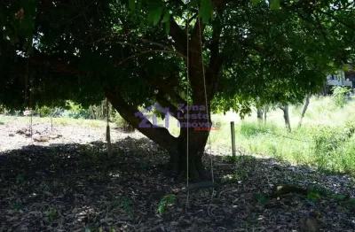 Terreno à venda, 1000 m² por R$ 158.000,00 - Jardim Das Paineiras - Águas da Prata/SP