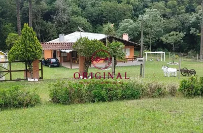 Chácara / sítio com 4 quartos à venda na avenida rio branco, 1, vila seca, caxias do sul por r$ 950.000