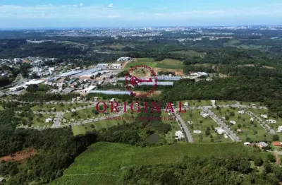 Terreno à venda na rua john kennedy, 100, são gotardo (distrito), flores da cunha por r$ 175.385