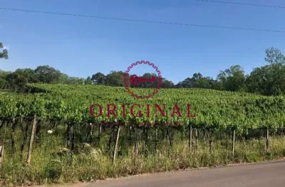 Terreno à venda na estrada municipal valentino venturin, 3460, monte bérico, caxias do sul por r$ 10.000.000