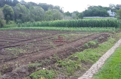 Terreno à venda na estrada vereador marcial pisoni, 1, nossa senhora da saúde, caxias do sul por r$ 2.000.000
