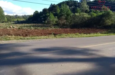 Terreno à venda na estrada municipal antonio soldatelli, nova roma (distrito), flores da cunha por r$ 1.600.000