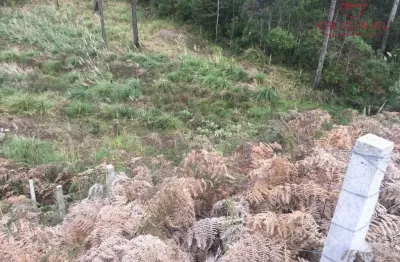 Terreno à venda na rua guerino sanvitto, 0000, sanvitto, caxias do sul por r$ 2.300.000