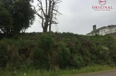 Terreno à venda na rua general jacinto maria de godoy, colina sorriso, caxias do sul por r$ 649.000