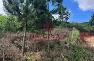 Terreno à venda na estrada municipal avelina tomazzoni piccoli, 1, monte bérico, caxias do sul por r$ 200.000