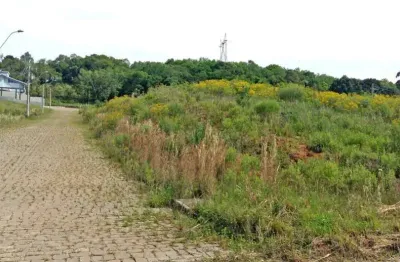 Terreno à venda na estrada municipal avelina tomazzoni piccoli, 808, monte bérico, caxias do sul por r$ 195.000