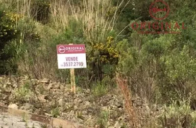 Terreno à venda na henrique dávila, 01, parada cristal, caxias do sul por r$ 161.000