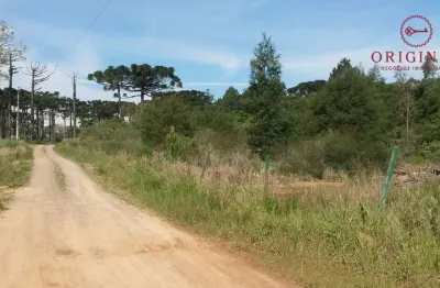 Terreno à venda na travessão victor emanuel, 025, maestra, caxias do sul por r$ 800.000