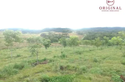 Chácara / sítio à venda na municipal waldemar josé pante, 01, criúva, caxias do sul por r$ 199.000