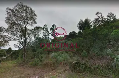 Terreno à venda na asti, 300, são gotardo (distrito), flores da cunha por r$ 780.000