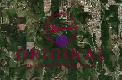 Terreno à venda na dorivia ferasso dos reis, 1, desvio rizzo, caxias do sul por r$ 2.600.000