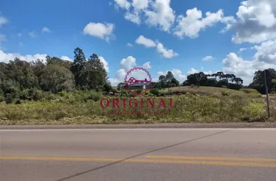 Terreno à venda na mato perso - vrs 864,  s / n, forqueta, caxias do sul por r$ 2.500.000