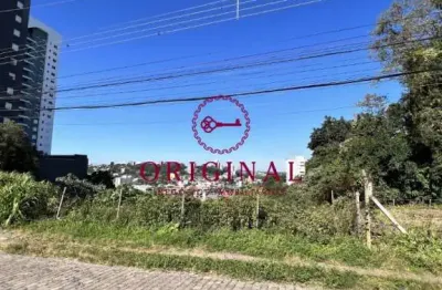 Terreno à venda na rua pedro pezzi, 1236, panazzolo, caxias do sul por r$ 2.500.000