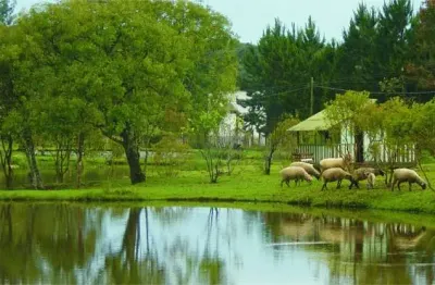 Belíssima Chácara em Colombo com 5,33 alqueires ou 129.058m2