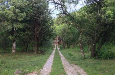 Terreno comercial à venda na Rua Cidadania da Santa Felicidade, Santa Felicidade, Curitiba