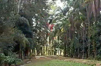 Sítio em mairiporã com 5  casas grandes, 19600 mts² , todo cercado, água e poço