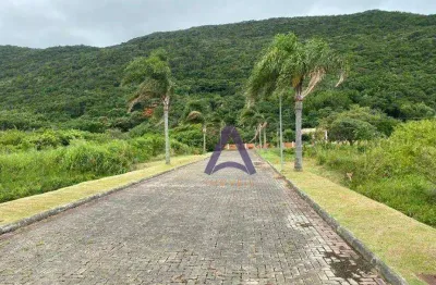 Terreno à venda, 401 m² por r$ 500.000,00 - pântano do sul - florianópolis/sc